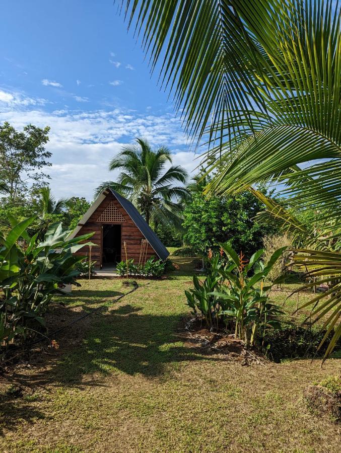 Bewak Cr Hotel Tortuguero Exterior foto