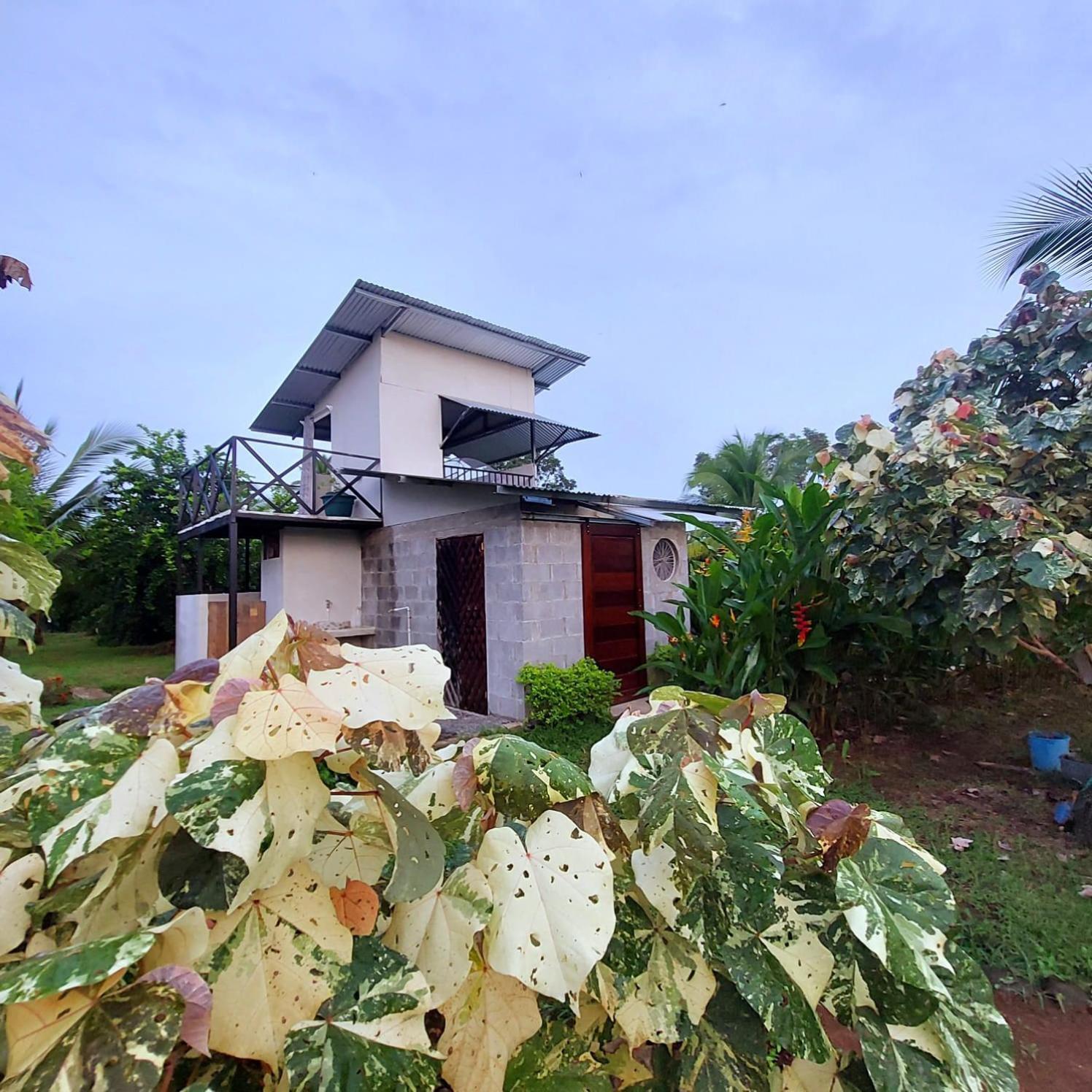Bewak Cr Hotel Tortuguero Exterior foto
