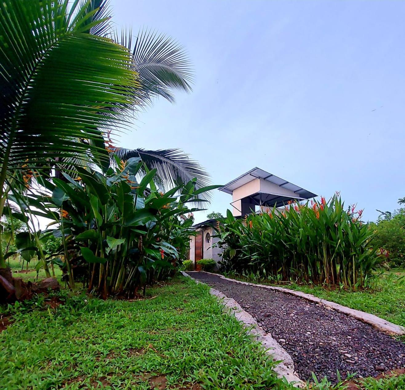 Bewak Cr Hotel Tortuguero Exterior foto
